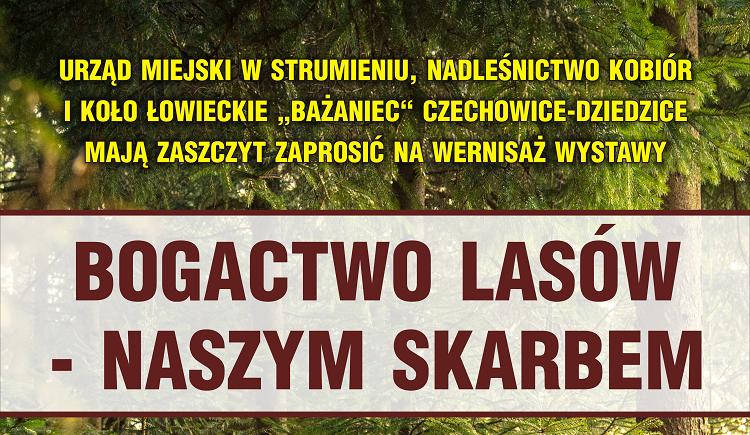 BogactwoLasów-Naszym Skarbem- grafika